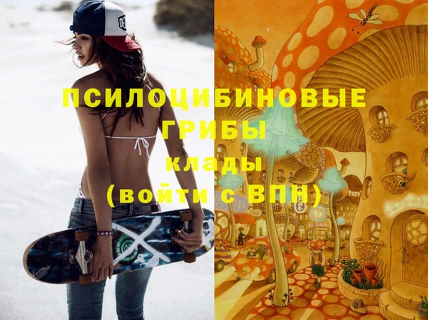 гашишное масло Бикин