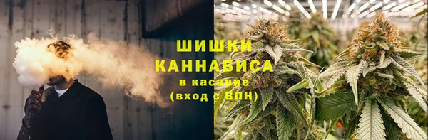 стаф Нефтекумск