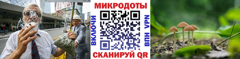 МЕГА ссылка  Починок  Псилоцибиновые грибы Magic Shrooms  где найти наркотики 