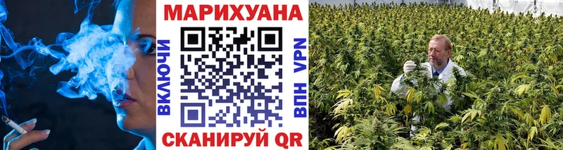 Канабис OG Kush  где найти наркотики  KRAKEN ссылки  Починок 